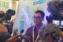 Dirut PLN: Kongres Tenaga Air Dunia kuatkan upaya kurangi emisi