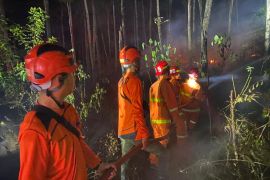 BPBD Trenggalek catat 42 karhutla selama kemarau 2023