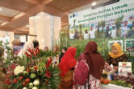 Festival Urban Farming jadi upaya Pemprov DKI hijaukan Jakarta