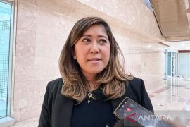 Ketua Komisi I DPR RI apresiasi komitmen Presiden Jokowi bantu Palestina