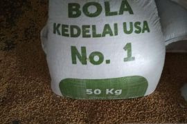 Primkopti: Harga kedelai impor di Kudus capai Rp12.550 per kg