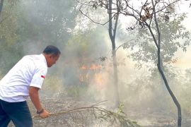BPBD Babel telah tangani 1.958,72 hektare karhutla dampak kemarau dan El Nino