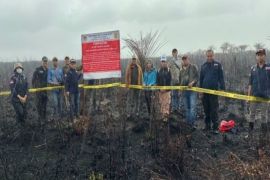 Kementerian LHK segel dua lahan HGU terkait karhutla