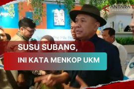 Susu Subang, ini kata Menkop UKM