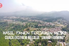 Hasil panen terjamin meski cuaca ekstrem melalui "smart farming"