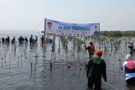 PCNU Pasuruan peringati Hari Santri dengan tanam 10 ribu mangrove