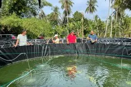 Budidaya ikan sistem bioflok di Jangka Bireuen berhasil panen 1 ton lele