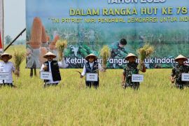 Pemprov Jatim dukung pemda intensifikasi guna ketahanan pangan