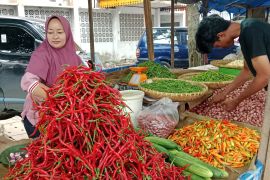 Harga cabai naik, ini perbandingan harga di pasar Kota Pekanbaru