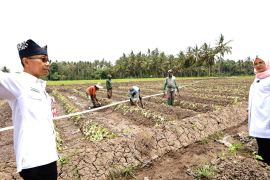 Pemkab Banyuwangi pastikan ketersediaan air di area pertanian