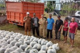 Distankan Rejang Lebong adakan 2.400 ekor indukan ikan nila