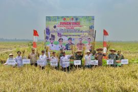 Pemkab HSU laksanakan Gernas ketahanan pangan pada HUT ke-78 TNI
