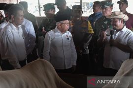 TNI pamerkan ke Wapres, lumbung pangan yang dikelolaya di 385 lokasi termasuk Jabar