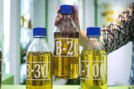 Airlangga: RI siap untuk terapkan biodiesel B40 pada 2025