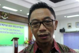 Disporapar Paser tunggu audit perbaiki kios Wisata Kuliner Sungai Tuak