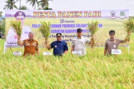 Pj Gubernur Sulsel optimistis surplus dua juta ton beras dapat tercapai