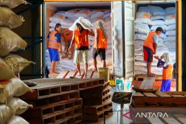 Bapanas sebut daerah sentra pangan jaga produktivitasnya