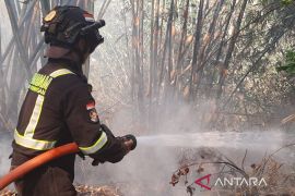 Damkar Kuningan berhasil padamkan 272 kasus kebakaran hingga Oktober 2023