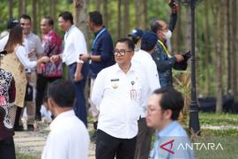 Pj gubernur Kaltim harapkan pengusaha lokal investasi  ke IKN