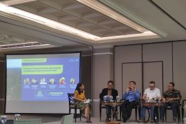 Populasi orangutan tumbuh 17 persen di Kaltim