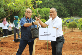 Ratusan bibit jambu kristal ditanam di Jaksel untuk penghijauan