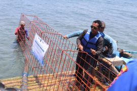 Bupati Ipuk apresiasi Pelni-UB dukung konservasi terumbu karang