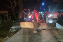 BPBD Kudus ingatkan  warga waspadai pohon tumbang saat musim hujan