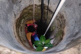 Heboh kucing masuk sumur, regu Damkar Lampung Selatan dikerahkan untuk evakuasi