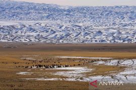 Penerbangan dibatalkan, sekolah ditutup akibat dilanda badai salju di China