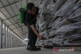 Cara jitu hilangkan rayap dari pintu kayu secara alami