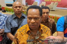 Pemprov Papua Pegunungan buka lahan pertanian 12 hektare Tulem
