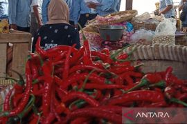 Buat cabai jadi bumbu matang untuk penyimpanan lebih lama