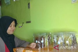 Nikmatnya keripik pisang 'Keran Lumer' buatan mahasiswa Jambi