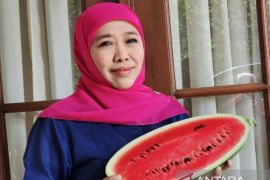Unggah profil WA tunjukkan semangka, Khofifah beri dukungan Palestina