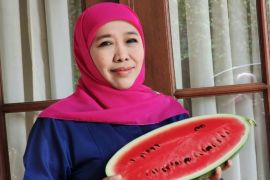 Gubernur Jawa Timur tunjukkan dukungan untuk Palestina