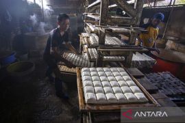 Dampak kenaikan harga kedelai