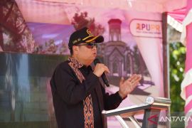 DPR minta Menhub kembalikan status Bandara Supadio Kalbar