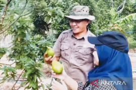 Samsun: Kukar siap jadi pemasok hasil bumi Kaltim