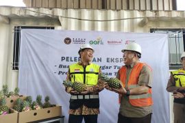Lampung ekspor 4.176 ton nanas ke China