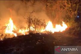 Pemkab Pamekasan tangani 156 kejadian kebakaran