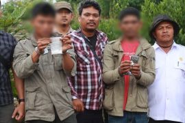 Gubuk perladangan dijadikan tempat transaksi sabu, dua pengedar ditangkap