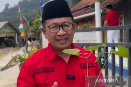 Cianjur bagikan 20 ribu bibit cabai dan sayur mayur tekan harga pangan