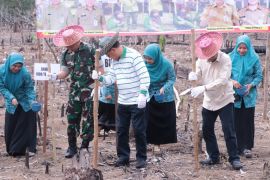 Pemkab Tabalong canangkan tanam perdana padi Gogo