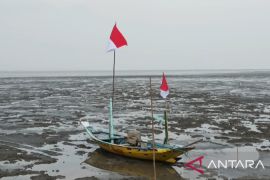 Gerakan Nasional Bulan Cinta Laut 2023 kumpulkan 820 ton sampah