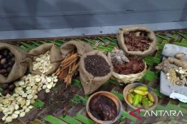 Tanah Rencong, titik terpenting jalur rempah di Nusantara