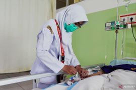 Direktur RSUD SSMA ingatkan pentingnya upaya pencegahan penyakit DBD