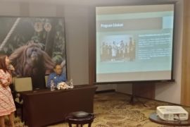 Orangutan Haven bagi Orangutan yang tidak bisa dilepasliarkan segera beroperasi penuh