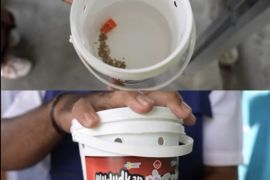 Kemenkes sebut hasil uji wolbachia efektif tekan dengue