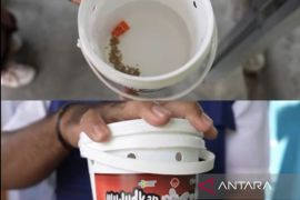 Dinas Kesehatan pastikan nyamuk dengan kandungan wolbachia aman