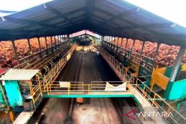 Semen Padang gali kerjasama pemanfaatan biomassa PTPN V subtitusi batubara